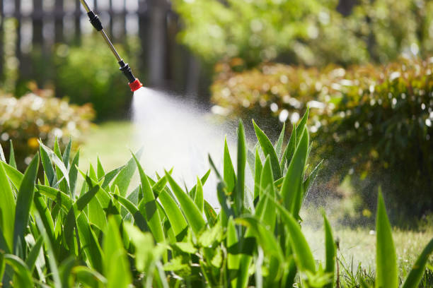 24/7 Emergency Mosquito Control experts in Ada, MN