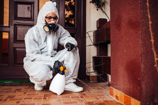 Reliable Mosquito Control contractor in Ada, MN by Show Me Pest Control